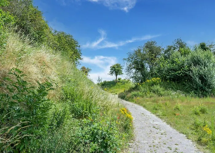 Het Witte - Heerlijk Aan Het Water Tatil Evi Ooltgensplaat