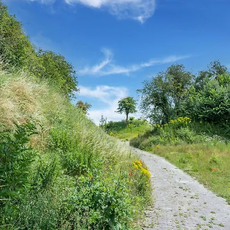 Het Witte - Heerlijk Aan Het Water 펜션 Ooltgensplaat